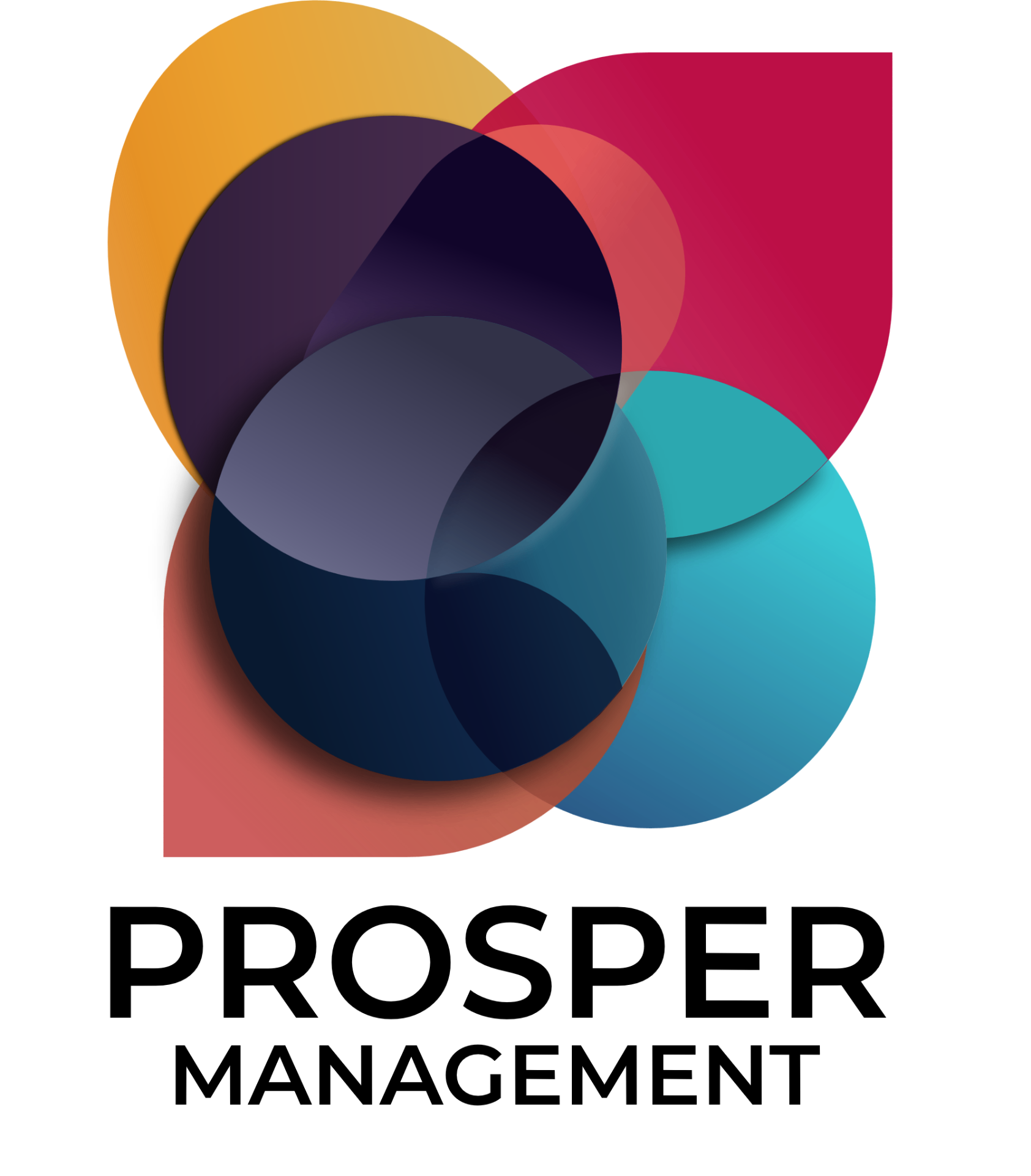 Prosper Management — Conseil en performance industrielle, Toulon, Var